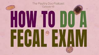 Does My Chicken Have Worms or Cocci? Dr. Blayne Walks Through the Fecal Flotation Process