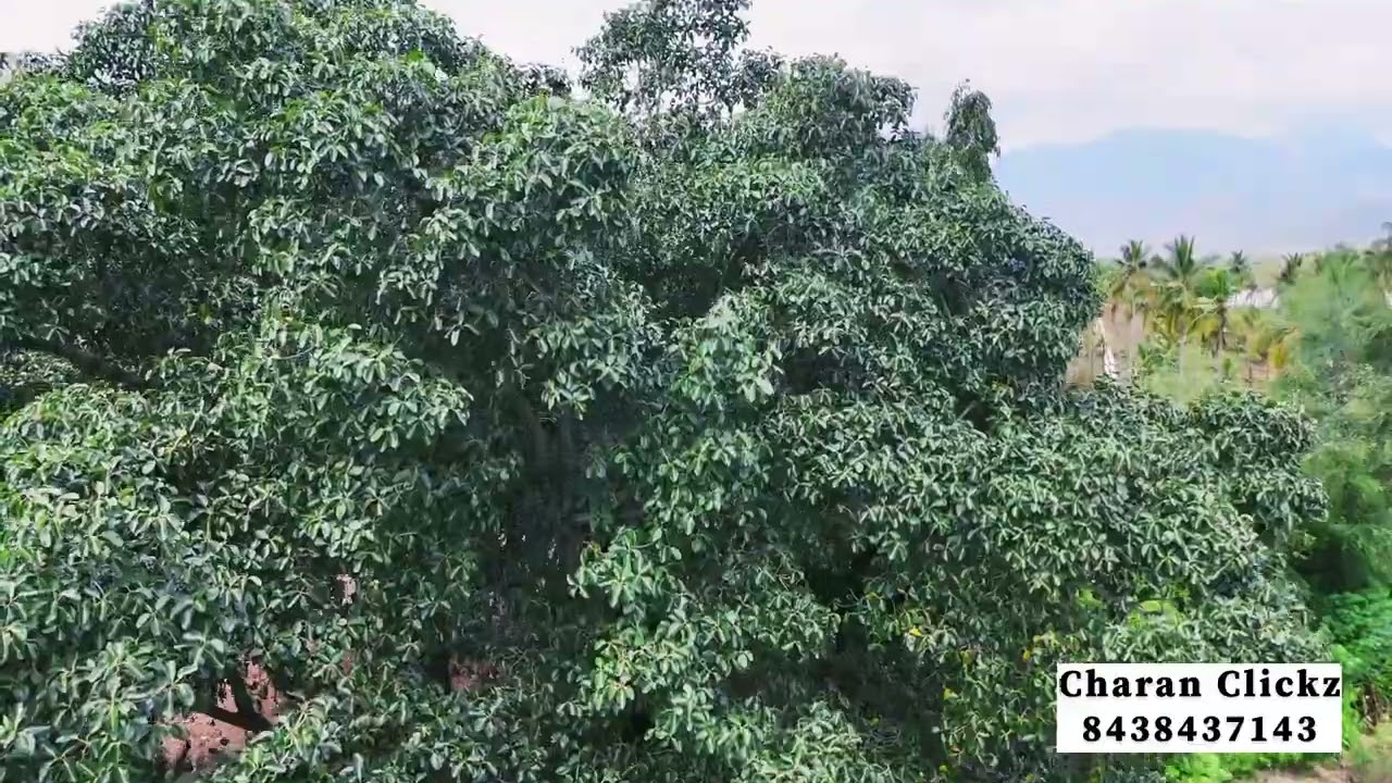 Sathiyar Dam , Madurai
