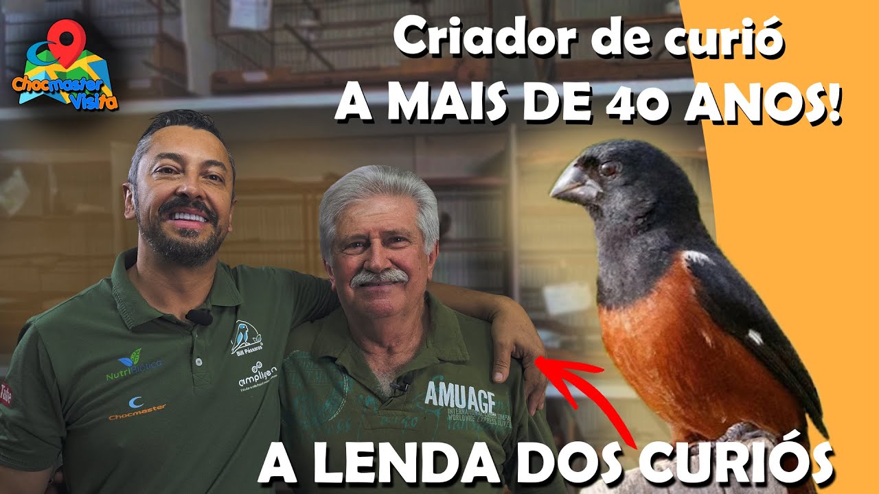 40 Anos Criando Curió: O Segredo da Genética Sentinela Campeã do Criatório Garuzi- Chocmaster Visita