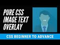Image hover text overlay effect using html  css  cool coding tamil