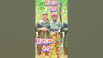 ምርጥ የፋኖ ሙዚቃ Best Fano Music 