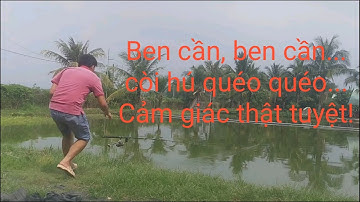 Đi câu cá xã stress sau  1 tuần làm việc căng thẳng.