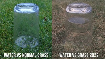 Effects of global warming and climate change 2022 - Water won´t soak into parched ground