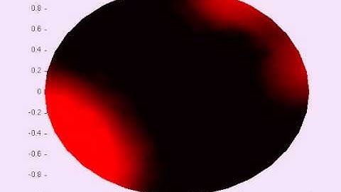 Dr. Youngmah || Simulation of F-actin waves on a 2D cell showing pulse trains