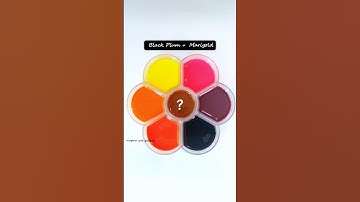 Guess the mixed colors of Squid Game 2  #squidgame2 #squidgame #colormixing #satisfying #asmr