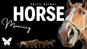 Horse Spirit Animal | Horse Spirit Guide | Horse Symbolism | Horse Totem