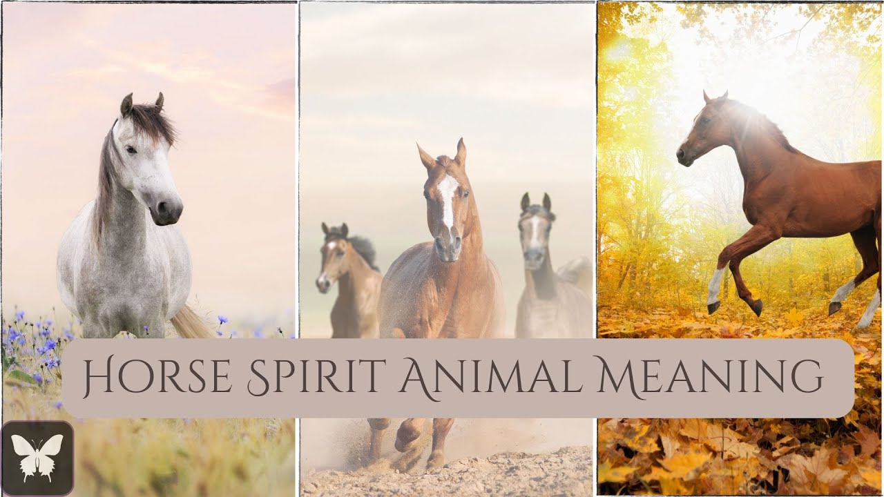 Horse Spirit Animal: Meaning, Symbolism & Mythology deep connection to ......