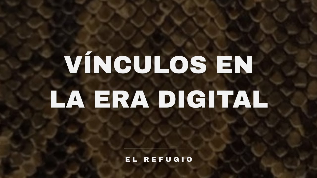 ¿Qué nos pasó al vincularnos? Identidad, apps y vínculos digitales