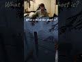 guess the ghost Twitch.tv/uqlty #phasmophobia #funny #phasma #horrorgame #horrorgaming #guess #throw