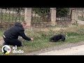 Perro abandonado en la calle se enamora de su rescatista | El Dodo