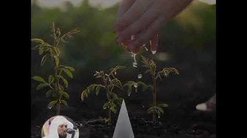 آيتين من سورة التوبة تلاوة خاشعة د. ماهر المعيقلي