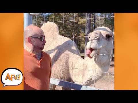 OOF! You Can SMELL The Belch From Here! ? | Best Funny Fails | AFV 2021