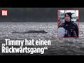 Wal-Rettung per Barge: Technischer Leiter erklärt wie Timmy transportiert werden soll