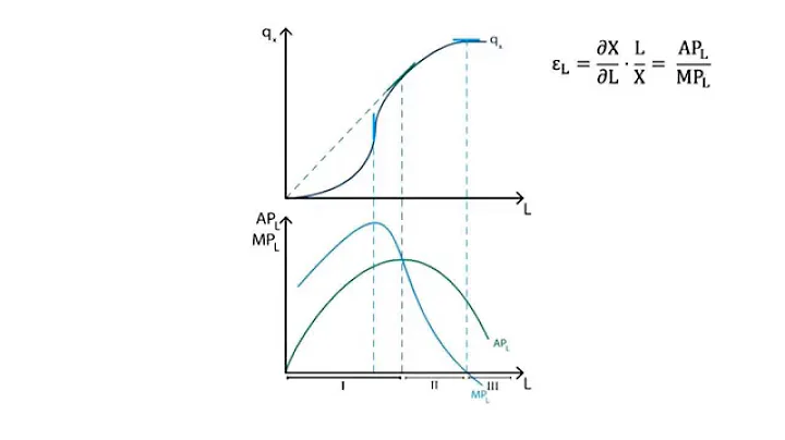 B.11 Production in the short run | Production - Microeconomics