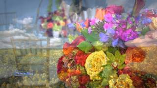 Flowers Charm - music Igor Dvurechensky chords
