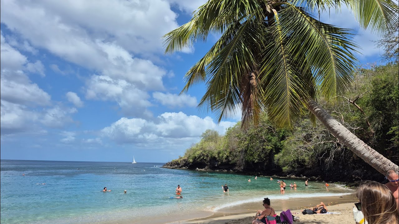 Reef Snorkeling in Martinique 