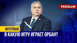 Орбан – ХИТРЫЙ политик. Что значат его слова об 