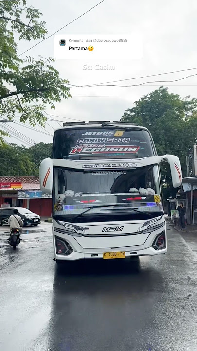 Grand Pegasus Susis 😎😎😎 #bisbasuri #busmania #trending #basuriv3 #shorts