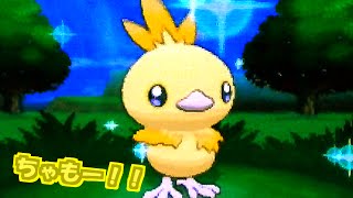 ポケモンxy 色違いアチャモ 誕生 なんか突然の来訪者ｗ 御三家色違い Shiny Torchic Via Masuda Method Pokemon X And Y Youtube