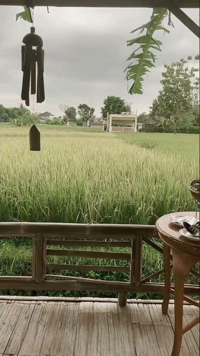 Katon Bagaskara - Kadang #shorts #musik #akustik