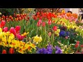 🌺Удивительные идеи которые сделают сад уютнее / Amazing garden ideas / A - Video