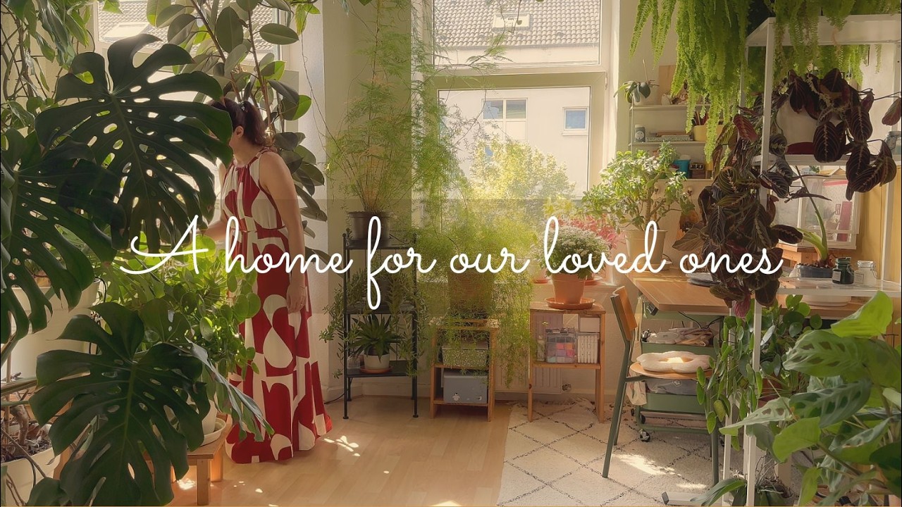 Creating a cozy home for ourselves and our loved ones