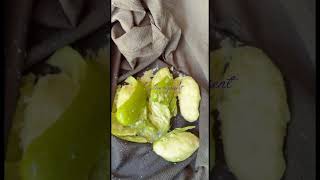 നിങ്ങൾക് മിസ്സ്‌ ചെയ്യാറുണ്ടോ?