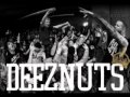 Deez Nuts - Fight for your Right (Beastie Boys Cover)