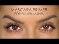 Create Fuller Looking Eyelashes | Shonagh Scott