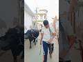 Meri bahensa GT😂😂 #funny #short #ytshort #comedy