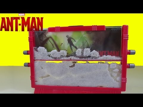 Marvel-Ant-Man-Ant-Farm-with-Live-Ants-New-Toy-Surprise-Kids-does-Science!