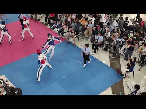 Teakwondo Tornament #taekwondo #mixmartialart
