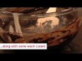 How To | Make Chocolate Mousse | 4Food