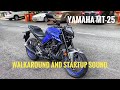 Yamaha MT-25 walkaround and startup sound