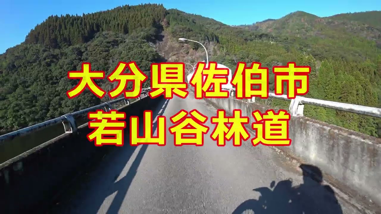 【大分県　林道】若山谷林道 