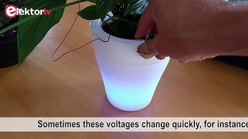 Work in progress: Elektor Labs’s Bio Light project