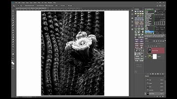 Color to black and white conversion using TKActions V6