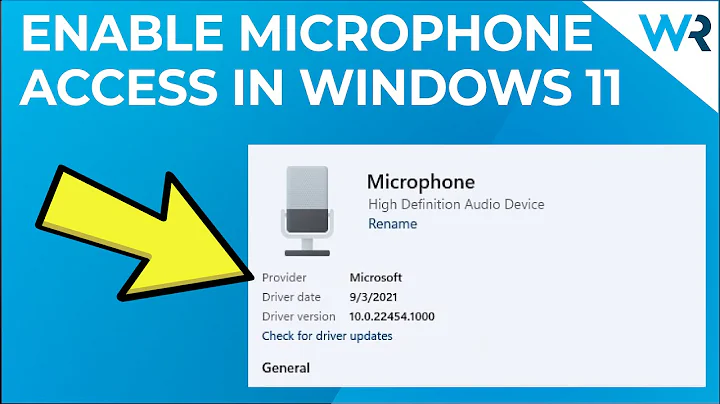 How to enable microphone access in Windows 11