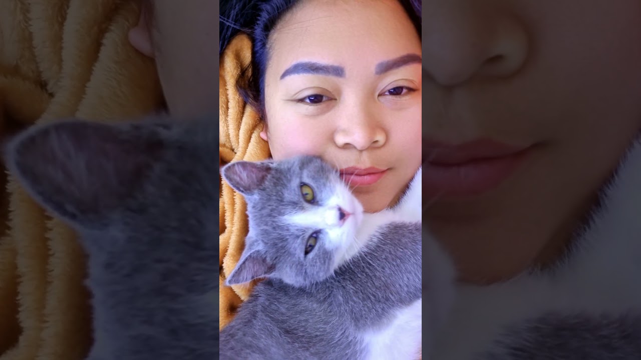 my spoiled meow meow | prince 😺