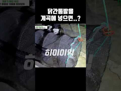 계곡갈때 필수템이겠는데..?