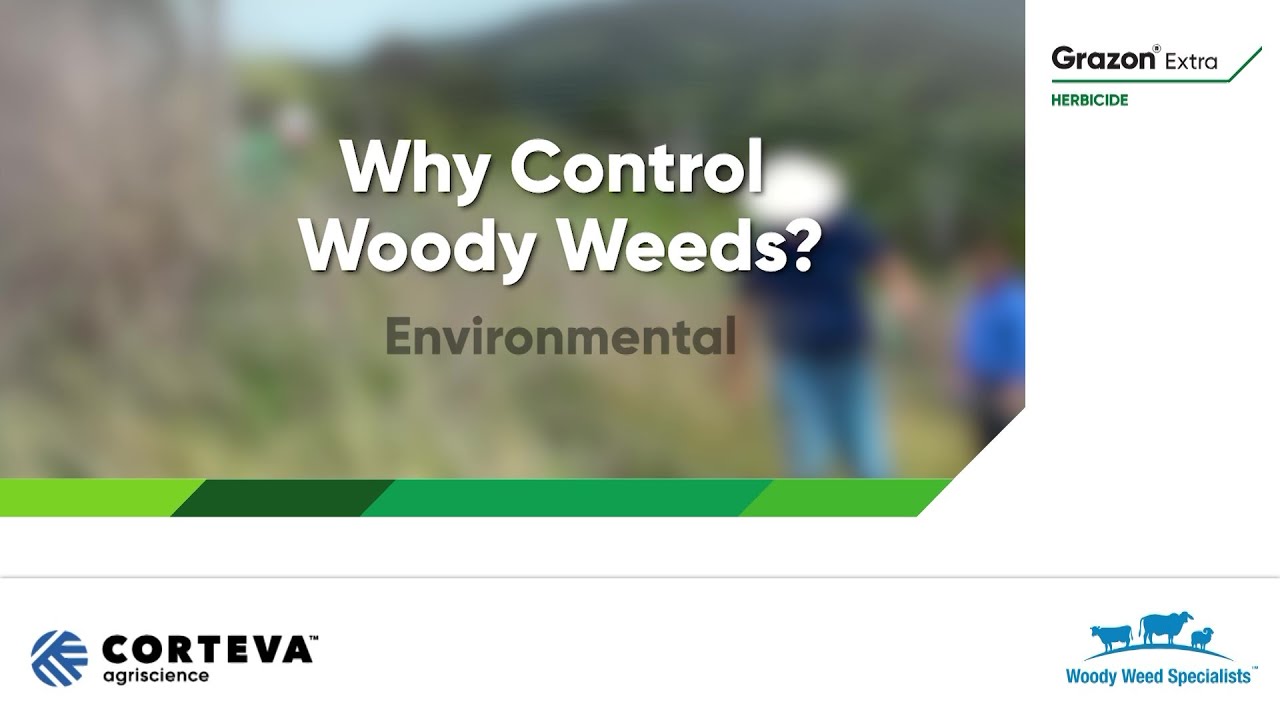 Why Control Woody Weeds - Environmental