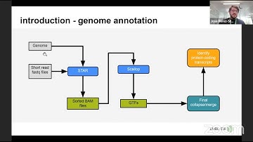 Thu 28 Sep, 14:00 UTC - Annotating genomes the Ensembl way - From RNAseq reads to gene models