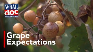 Wine Industry Soars in NC - &quot;Grape Expectations&quot; - A WRAL Documentary