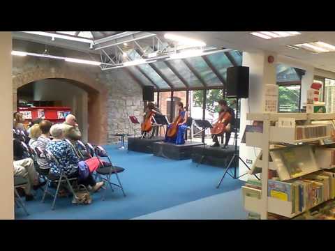Flamenco in Limerick City Library