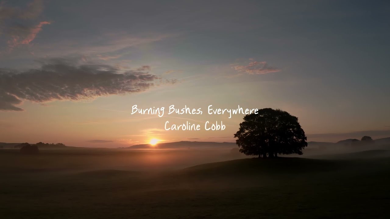 Burning Bushes Everywhere [Official Lyric Video]