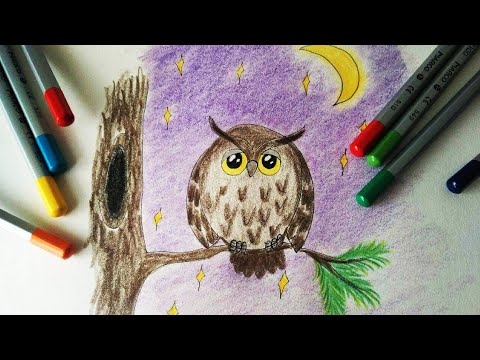 How to draw an owl