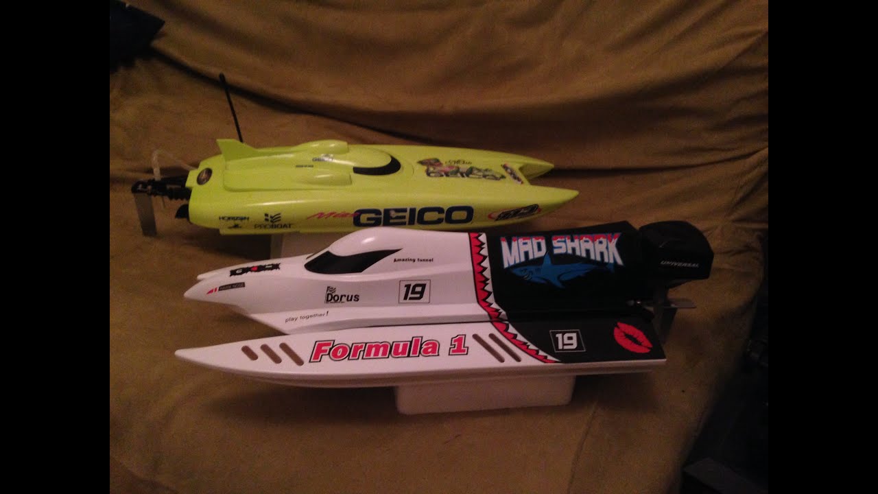 modelisme bordeaux Miss geico , mad shark