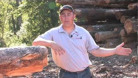 Helicopter Logging, Part 4--R&R Conner, Inc (Original Uncut version)