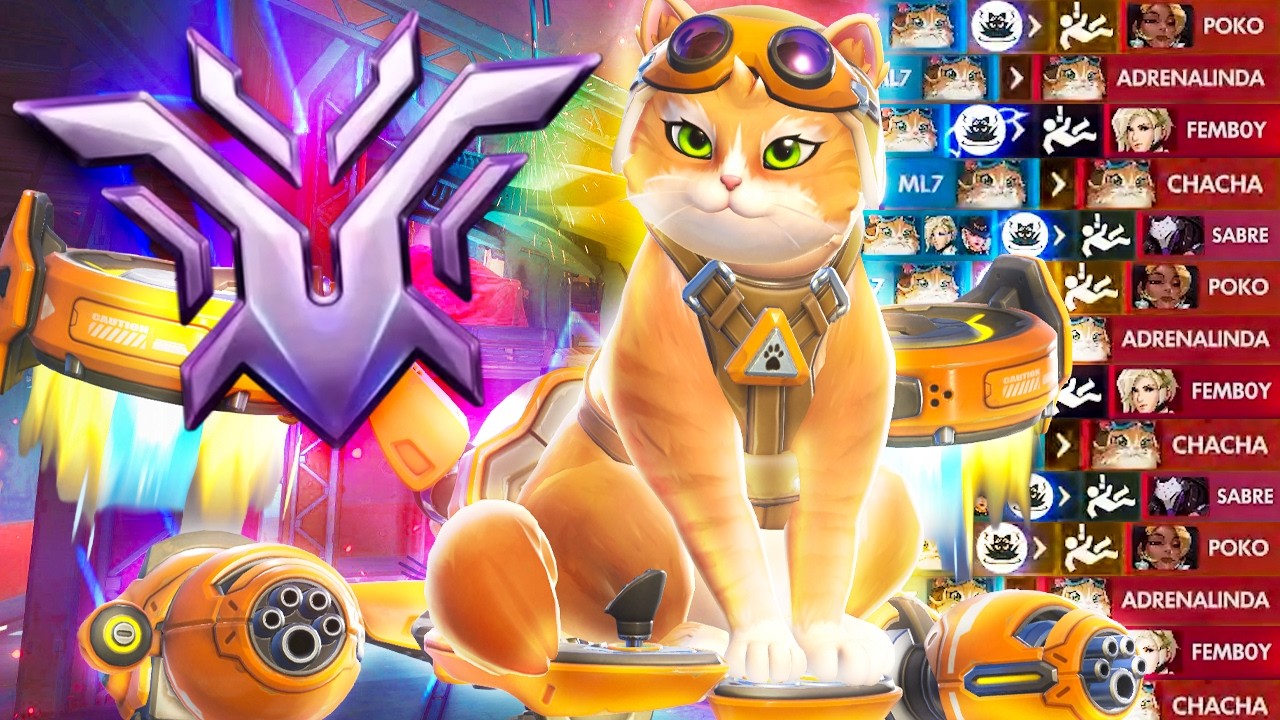 What a CHAMPION Jetpack Cat looks like in Overwatch