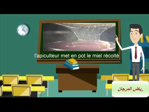 l'apiculteur-(texte-de-lecture-avec-explication)-رياض-المرجان